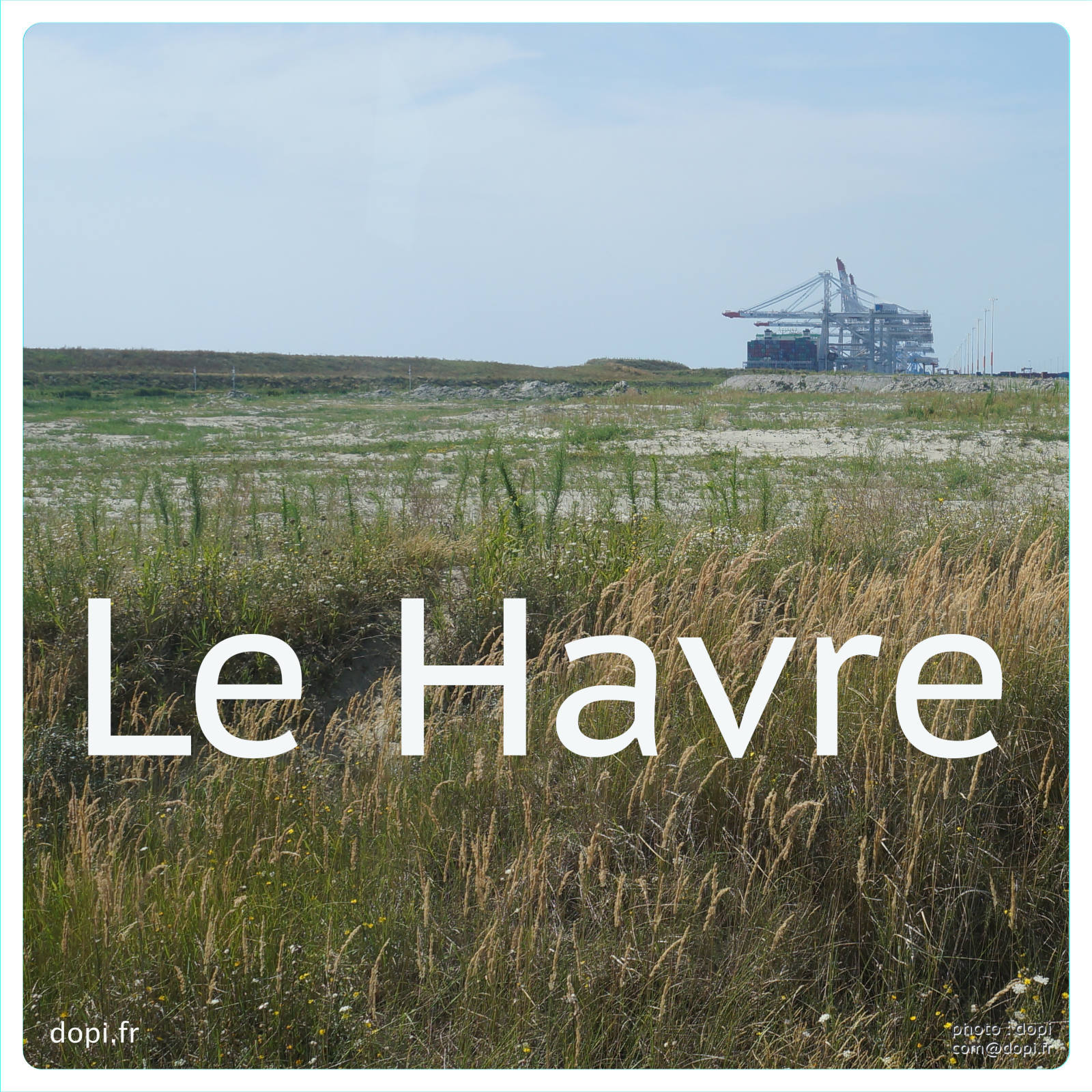 00036 S253,medium large.2x.1483111876